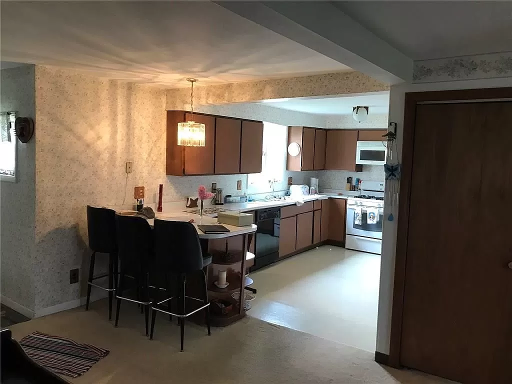 Updating an old kitchen into chef's dream